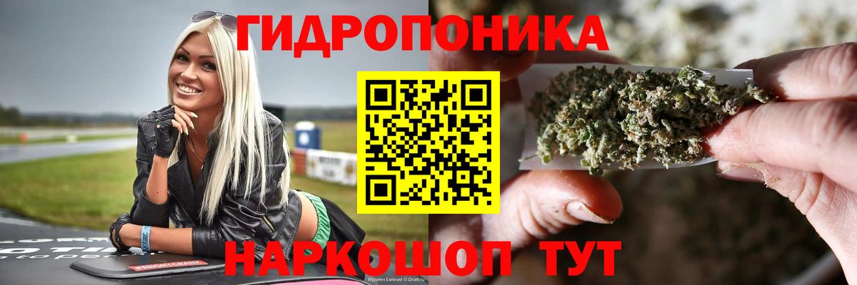 Марихуана конопля Фрязино